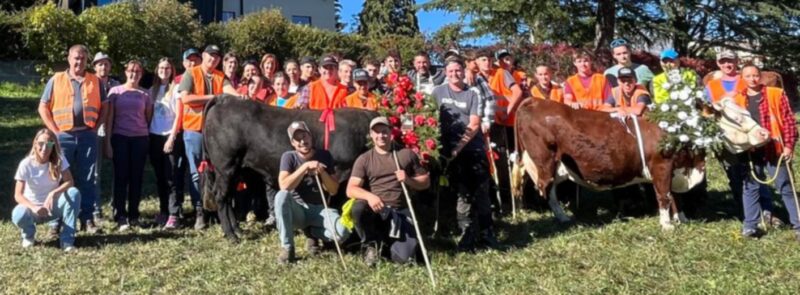 Gli studenti dell'Institut Agricole Régional che mercoledì scorso hanno accompagnato la mandria lungo il cammino della Désarpa