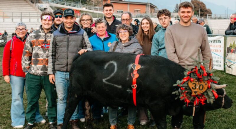 Trophée Ville d’Aoste nel ricordo di Gerardo Beneyton. Vittorie per Brigande, Ares, Zizanie, Rebelle e Naty