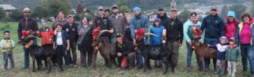 Batailles des chèvres, a Quart le ultime qualificate per la finale regionale di domenica 8 novembre