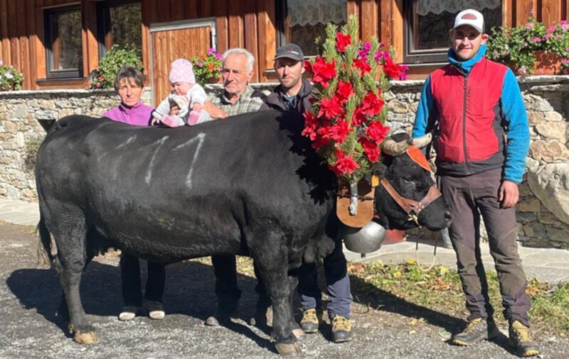 Premier Veau, Deuxième Veau, Communautés de Montagnes. Tutti i capi che partecipano alle competizioni di oggi, sabato