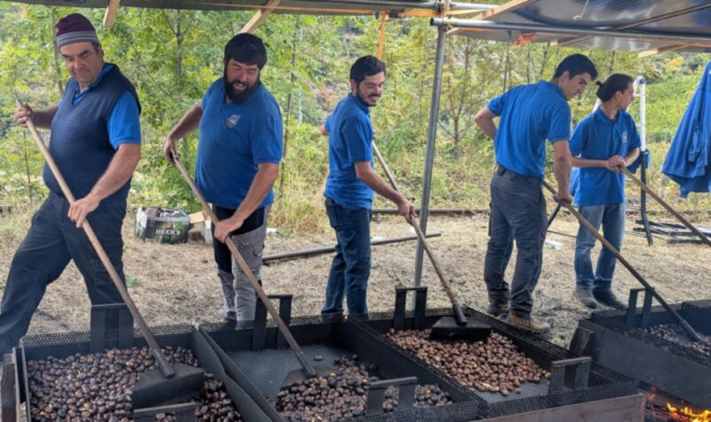 Sette quintali di caldarroste per la castagnata di Avise domenica scorsa