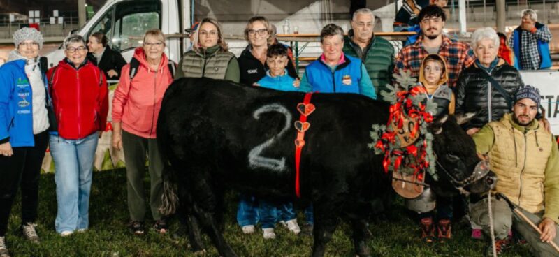 e Ares di Patrick Bionaz, che hanno vinto rispettivamente in prima e in seconda categoria
